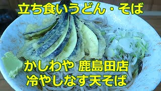 【立ち食いそば・うどん】冷やしなす天そば かしわや 鹿島田店 ぶらり立ち食いそば 駅そば 立ち食いそば [upl. by Anielram]