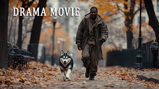 Full movie drama  A meeting that changed their lives  Adventure comedy best movies🎬🎥 [upl. by Gower989]