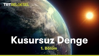 Kusursuz Denge  Dünya  TRT Belgesel [upl. by Augusta]