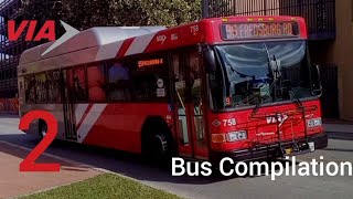 HEY GANG BUS COMPILATATION 2 [upl. by Quarta776]