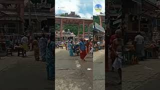 Palani murugan temple tamilshorts music tamilsong palani murugan temple dindigul [upl. by Akered503]