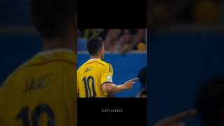 James Rodriguez crazy goal FIFA World Cup 2014banger worldcup colombia [upl. by Tonjes269]