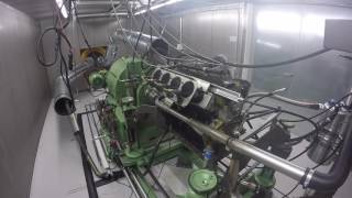 BMW F2 M12 Engine Dyno Testing at Novidem Swiss AG  Switzerland [upl. by Zorine61]