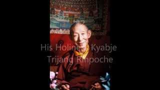 Top 12 Highest Tibetan Buddhist Masters In the World  Dorje Shugden Lamas [upl. by Airun]