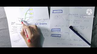 FEMORAL NERVE  ANATOMY  LOWER LIMB IN TAMIL  WITH NOTES [upl. by Enyalahs]