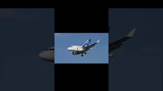 All the baby planes I found Extended version planes youtube funny aviation memes shorts edit [upl. by Nywrad571]