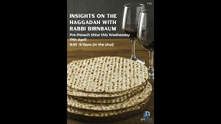 Toras Chaim  Insights into the Haggadah with Rabbi Birnbaum [upl. by Haissem]