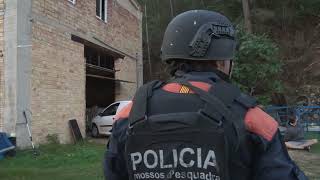 Los Mossos d’Esquadra desmantelan cinco invernáculos con 5000 plantas de marihuana en Benifallet [upl. by Yhpos]