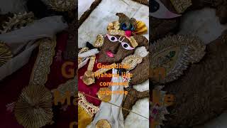 baragaon vardan Maharaj ki jayradhe music song dance ltestsong2021new [upl. by Ofilia]