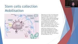 Hematopoietic stem cell transplantation [upl. by Rehpotsyrhc]