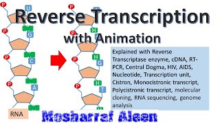‍রিভার্স ট্রান্সক্রিপশন কিভাবে RNA হতে DNA সৃষ্টি হয় [upl. by Lrat]