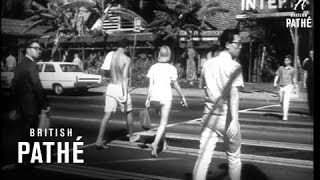 A Trip To Honolulu 1966 [upl. by Corel905]