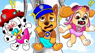 PAW Patrol The Mighty Movie  Brewing Cute Baby Factory  Very Funny Life Story  Rainbow Friends 3 [upl. by Luke856]