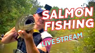 INCREDIBLE HUGE SALMON FISHING 🎣 [upl. by Kempe]