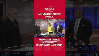 Amendment 3 to legalize recreational marijuana in Florida has failed [upl. by Rockey]