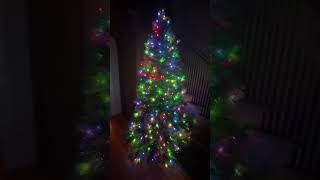 Twinkly Pre Lit Christmas Tree 5 Foot Artificial Regal Tree with RGB LED Lights Review [upl. by Greggs]