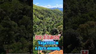 4 Acre Cardamom Plantation for Sale  Vagamon vagamon vagamonhills resort realestate kochi [upl. by Farmer603]