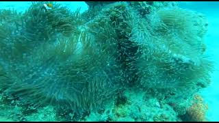 PERHENTIAN VIDEO SHARING  2022 [upl. by Marc]