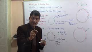 L7 Embryonic induction with spemann experiments in Urdu language by Dr Hadi [upl. by Anelegna]