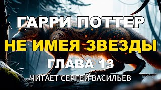 Не имея звезды  Глава 13  Гарри Поттер аудиокнига Васильев С [upl. by Bette15]