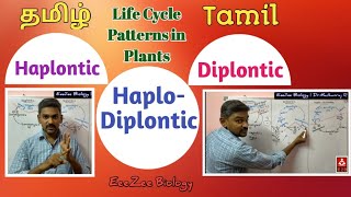 Haplontic  Diplontic  HaploDiplontic  Life Cycle Patterns in Plants [upl. by Rucker]