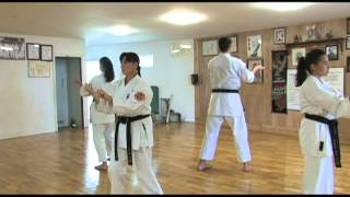 Neves Karate Academy [upl. by Vitek]