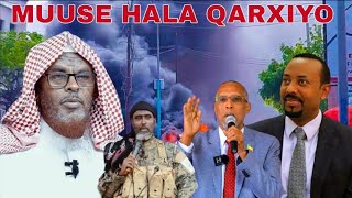 DEGDEG SHEEKH CALI DHEERE U DHAARTAY MUUSE BIIXI AMRAY IN LAWEERARO ABY AHMED DAGAAL CULUS KUBAAQAY [upl. by Laekcim]