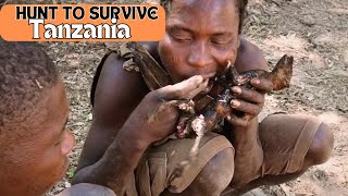 TANZANIA SEE HOW THIS AFRICAN TRIBE HUNT TO SURVIVE IN TANZANIAS WILDERNESS [upl. by Aihtenak]