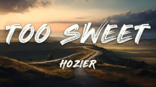 Hozier  Too Sweet Lyrics [upl. by Ahsetel]