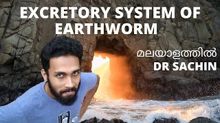 excretory system in earthworm  malayalam  anatomy of earthworm  knowledge vlogger  nephridium [upl. by Ibson]