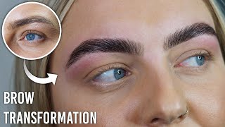 Full Indepth Brow Lamination Training for beginners Tutorial [upl. by Nylegna542]