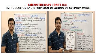 Chemotherapy of Antibiotics Part03 Sulfonamide Introduction amp Mechanism of Action  Antibiotic [upl. by Llenrod]