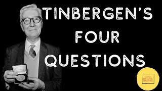 Tinbergens Four Questions [upl. by Lahsiv630]