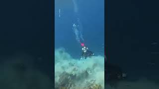 Moment Rare 72 Magnitude Earthquake Strikes Underwater  10 News First [upl. by Megargee]