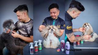 Conocé Panda Groom estética canina esteticaanimal perritos [upl. by Aydan]