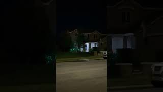 home 🏡 green lights lights video 73 [upl. by Flo]