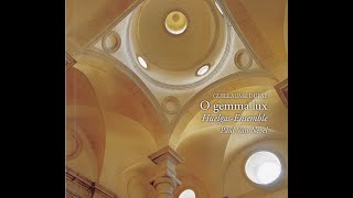 Guillaume Dufay 13971474  O gemma lux Paul Van Nevel Huelgas Ensemble [upl. by Sherill]