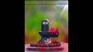 Mahadev ke bhakt 🙏☘️ Har Har Mahadev shiv bholenathmahakal [upl. by Methuselah]