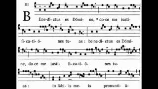 Benedictus es Domine 6th Sunday in Ordinary Time Offertory [upl. by Neemsay182]