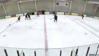 Classic Beer League Hockey Fight [upl. by Batha]