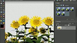 Usuwanie tła w Photoshop Elements [upl. by Repmek240]