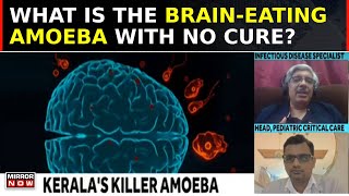 BrainEating Amoeba Claims 3rd Victim In Kerala What Is Naegleria Fowleri  South Speaks [upl. by Ahsert977]