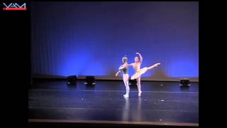 Joseph Gorak ABT La Bayadere Variation YAGP 2006 Age 16 [upl. by Alyhc]