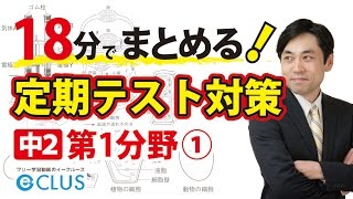 中学2年理科まとめ講座１分野化学変化と原子・分子 基本問題 [upl. by Dix]