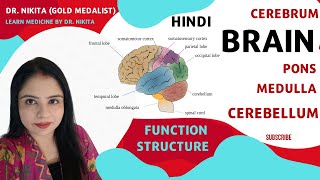 Parts of Brain Fore Brain Mid Brain Hind Brain Cerebellum Cerebrum Fore Brain Mid Brain Hind Brain [upl. by Bikales]