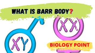 What is Barr Body [upl. by Adnilg]