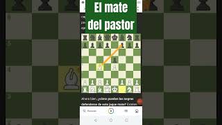 mate del pastor [upl. by Naquin291]