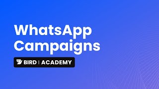 Create and send a WhatsApp campaign [upl. by Christensen]