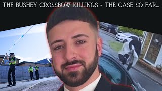 The Bushey Crossbow Killings  The case so far [upl. by Davidson865]