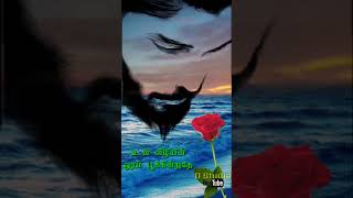 💜💙🌹 Iravum En Pagalum💔Yean Ennai Pirinthaai 💔WhatsApp Status Love Failure💔 💓🥀💜💙🌹 [upl. by Enitsrik]